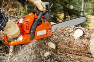 Очистка участков от деревьев